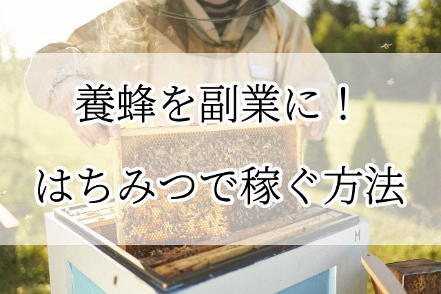 養蜂を副業にして稼ぐ方法！トラブルや養蜂箱の作り方も解説